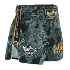 Шорты для тайского бокса Reyvel muaythai team dragon серые